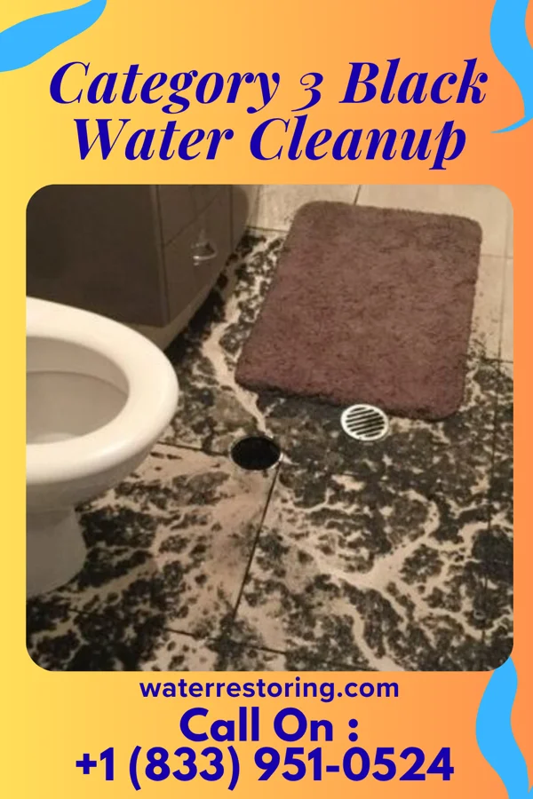 Category 3 Black Water Cleanup in Washburn, WI