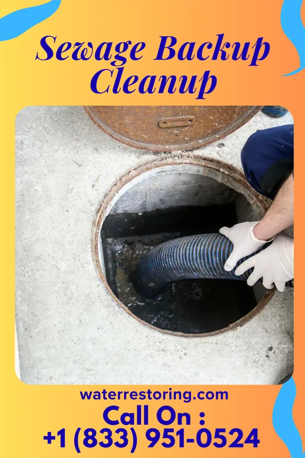 Sewage Backup Cleanup in Washburn, WI