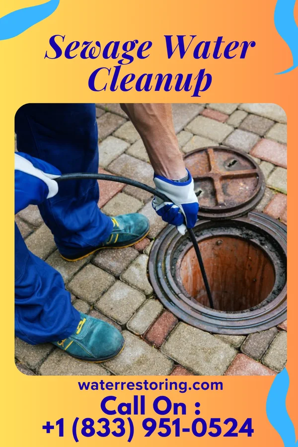 Sewage Water Cleanup in Washburn, WI